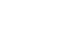 SVD Ikon