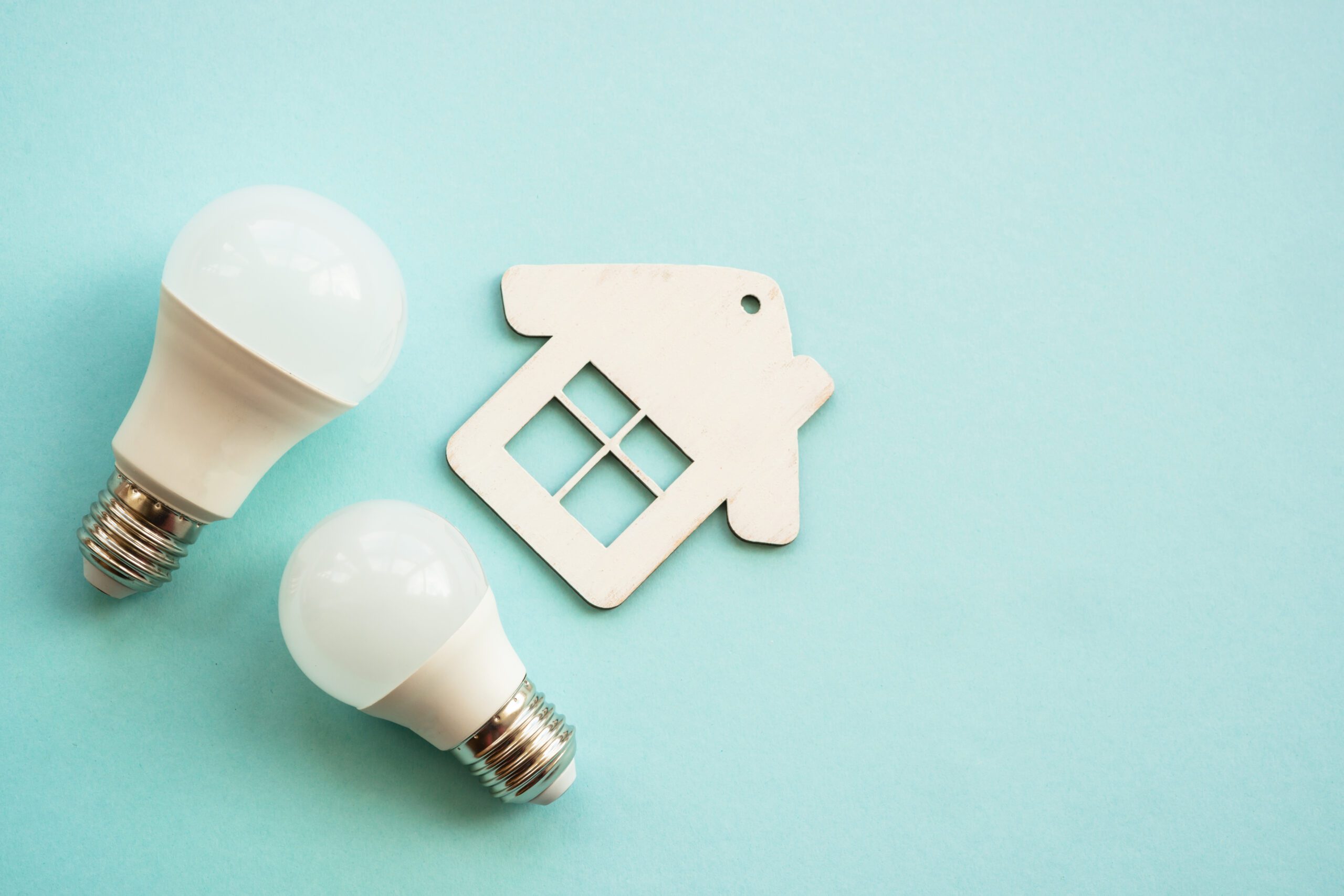 Saving electricity. LED lamp, wire with plug and house.