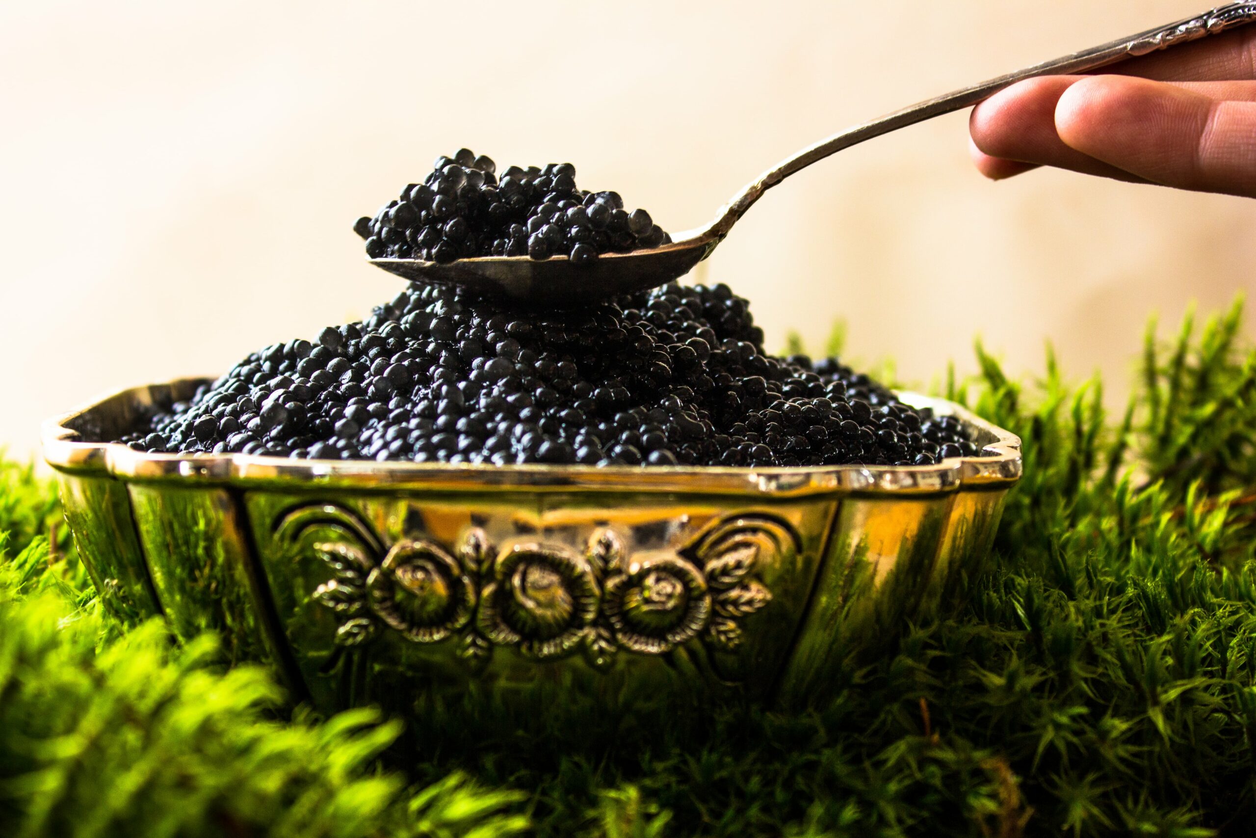 black-caviar-in-a-bowl-with-lemon-close-up-over-mo-2023-11-27-05-36-37-utc-min